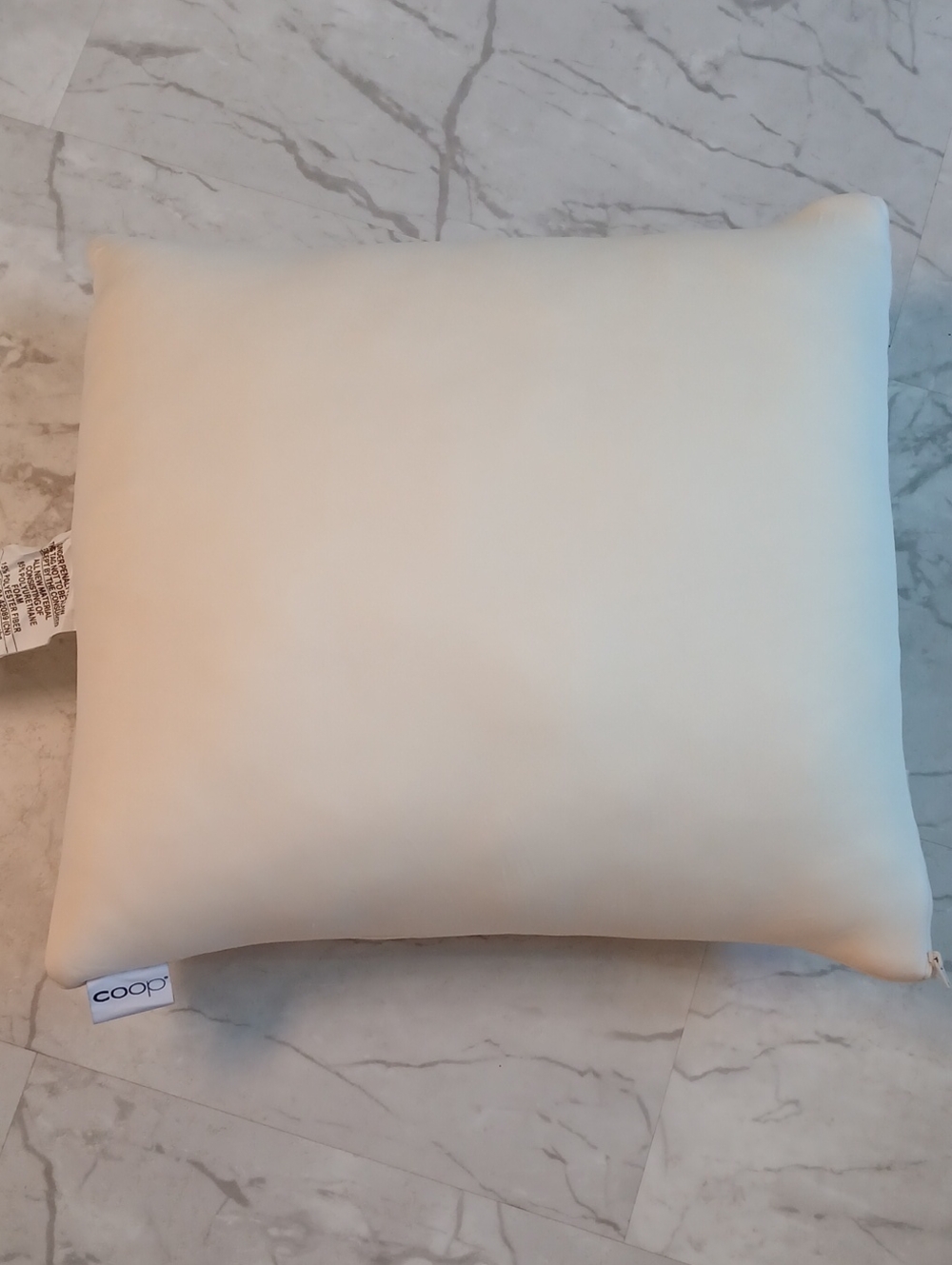 Coop 20"×20" Latex Pillow